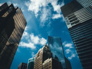Innovations Durables : Le Conseiller de Choix pour les Entreprises